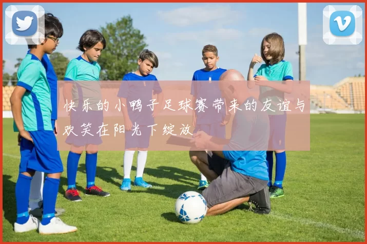 快乐的小鸭子足球赛带来的友谊与欢笑在阳光下绽放