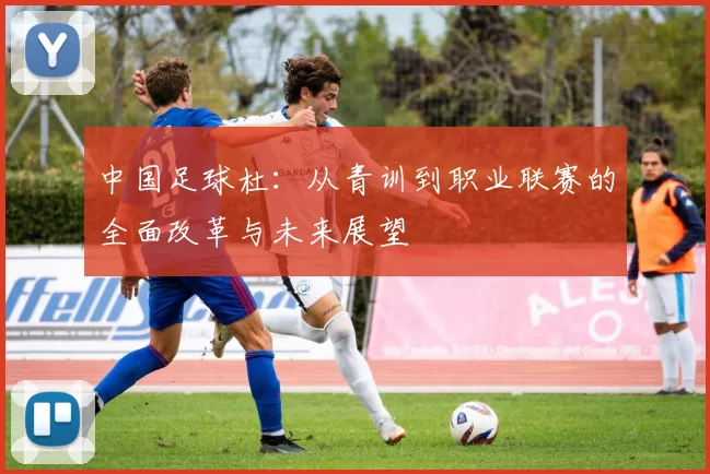 中国足球杜：从青训到职业联赛的全面改革与未来展望