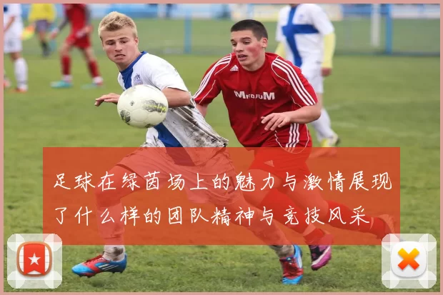 足球在绿茵场上的魅力与激情展现了什么样的团队精神与竞技风采