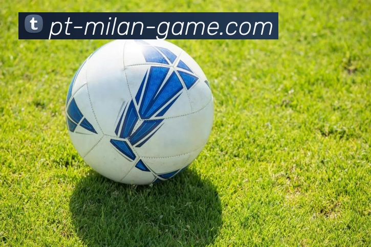 米兰体育服务体系